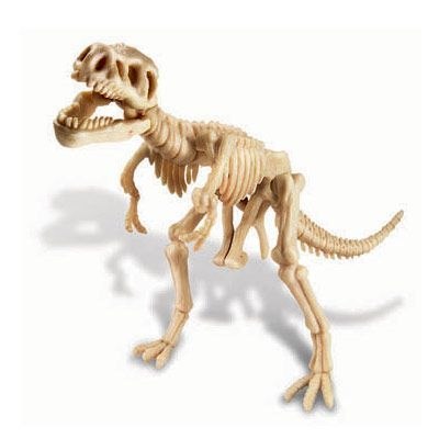 Wykopaliska - Tyranozaur Wykopaliska - Tyranozaur